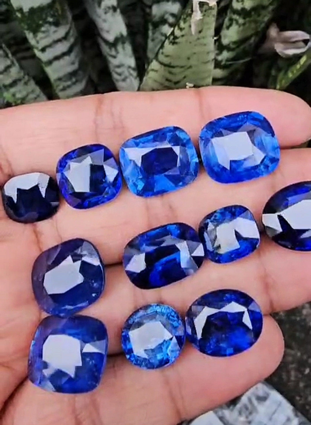 Loose Stones
